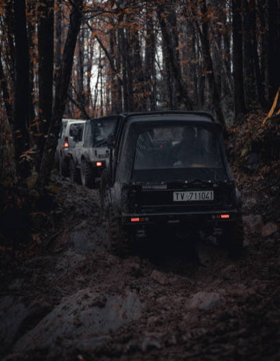 Banner Image